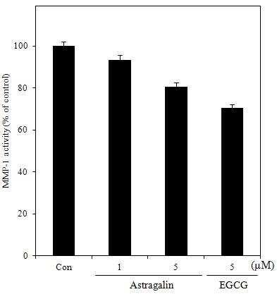 MMP-1 inhibition activity of humandermal fibroblast treated with astragalinfrom Diospyros kaki calyx. Control cellwere incubated with vehicle alone. Thedata represent the mean±SD of threeseparate experiments.