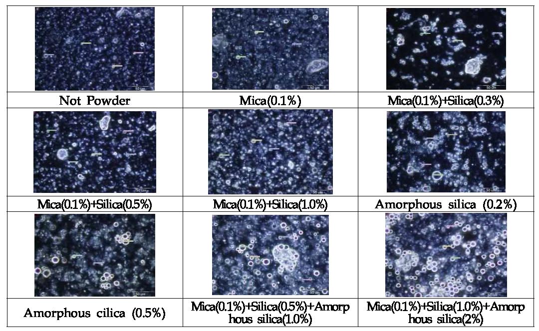 Photograph optical microscopy of experimental formulation RDES3