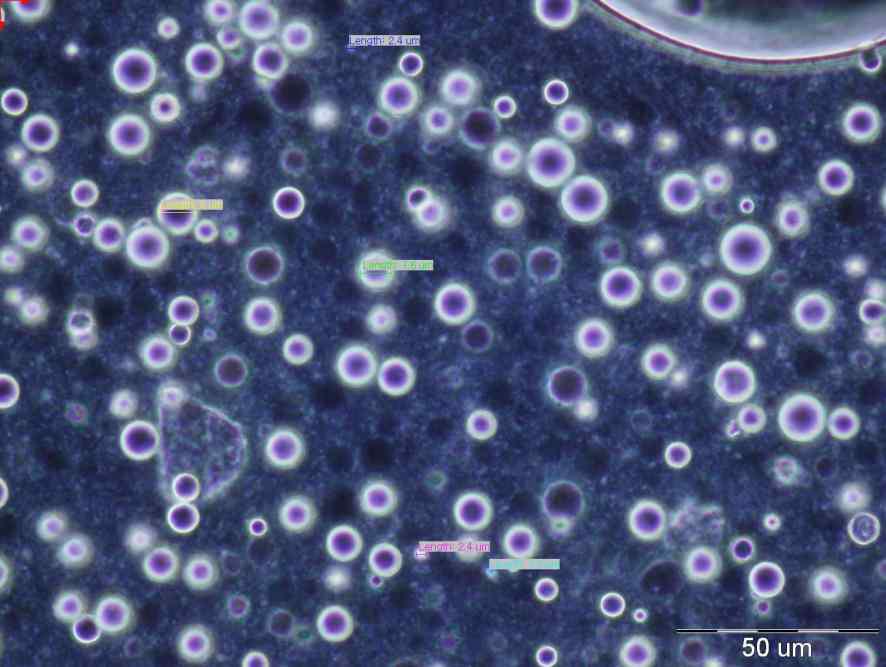 Photograph optical microscopy of RDES