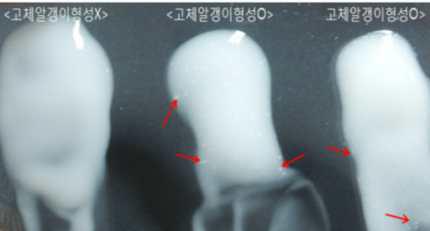 로션의 고체알갱이 확인