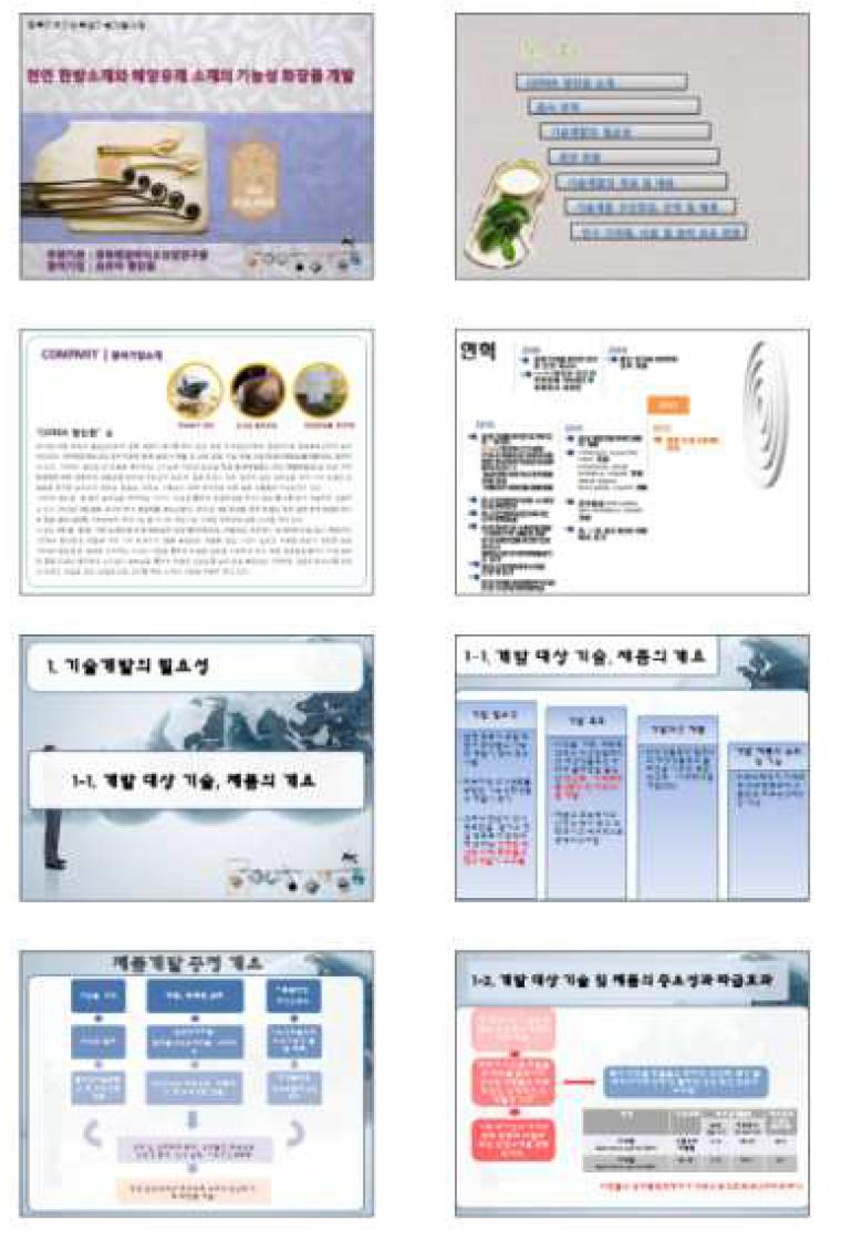 기술개발사업계획 프레젠테이션 자료