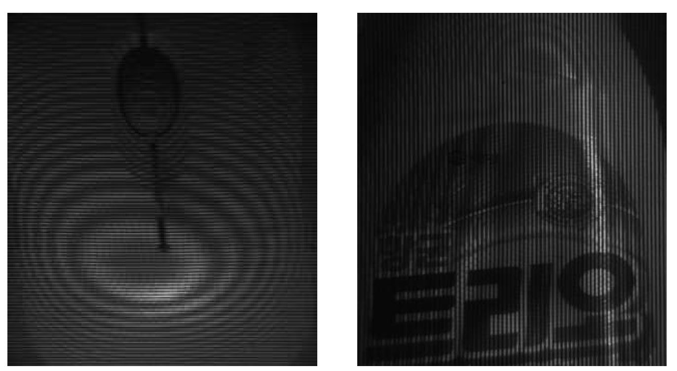 Fig. 41 대상물에 대한 Shadow Moire