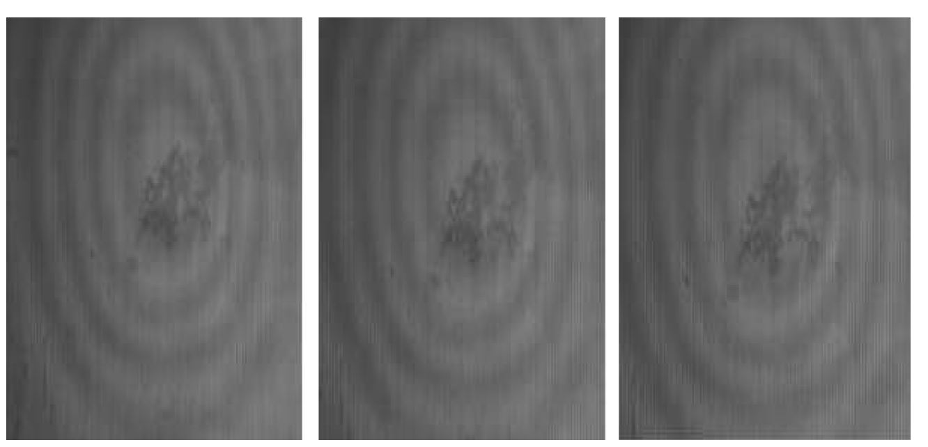 Fig. 42 Shadow Moire 실험 구성