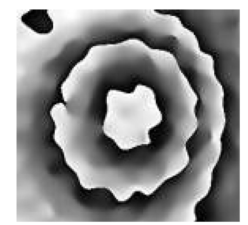 Fig. 49 Phase Filtering