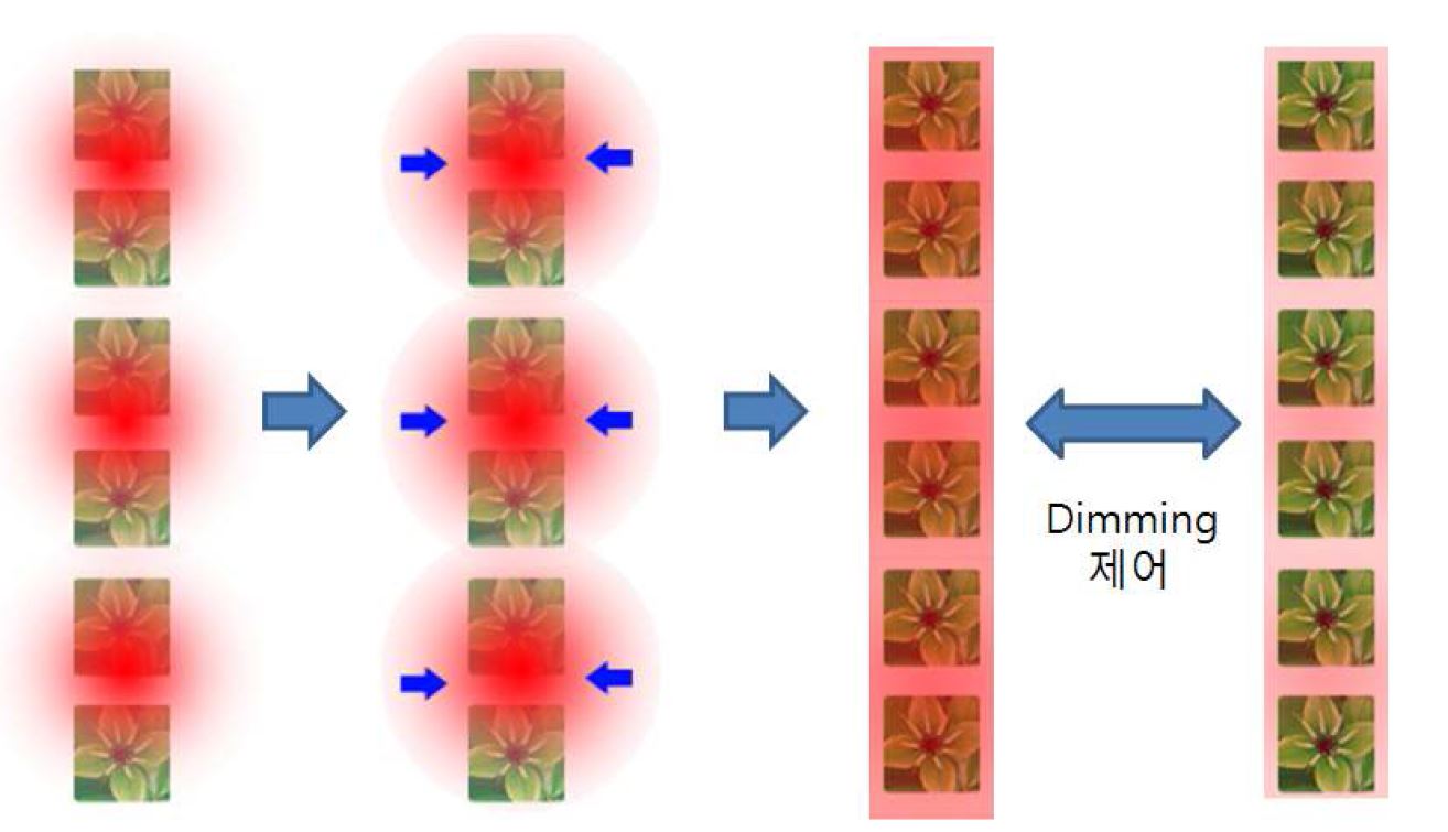 그림 1-7. 배광분포 및 Dimming제어 개략도