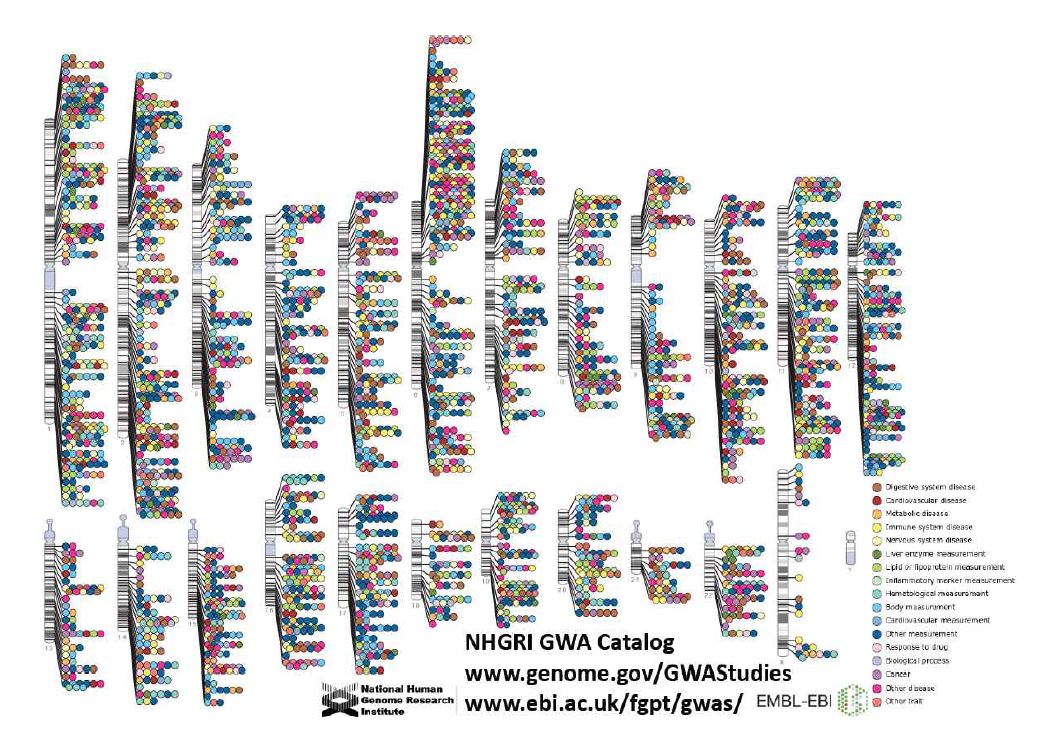 그림 10. Published Genome-Wide Associations through 12/2012 Published GWA at p≤5X10-8 for 17 trait categories