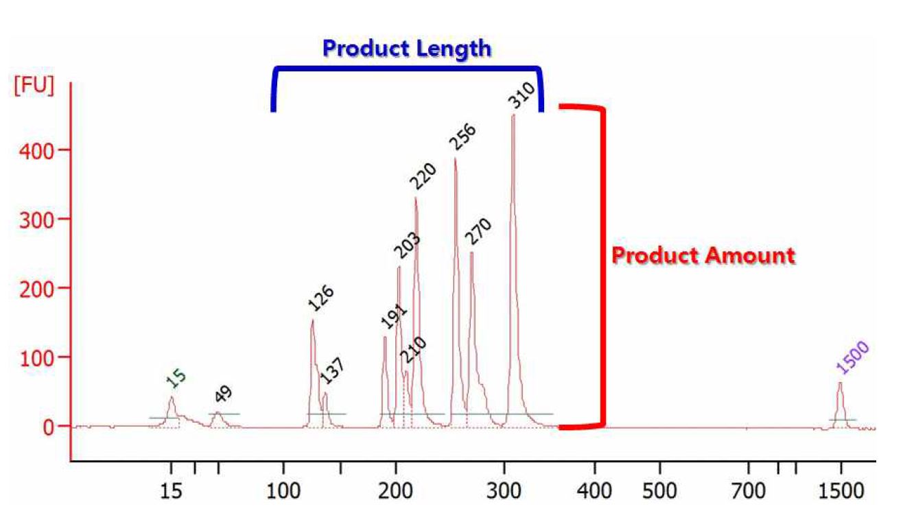 그림 13. Bioanalyzer 2100 기기를 사용한 다중 PCR 정량?정성분석