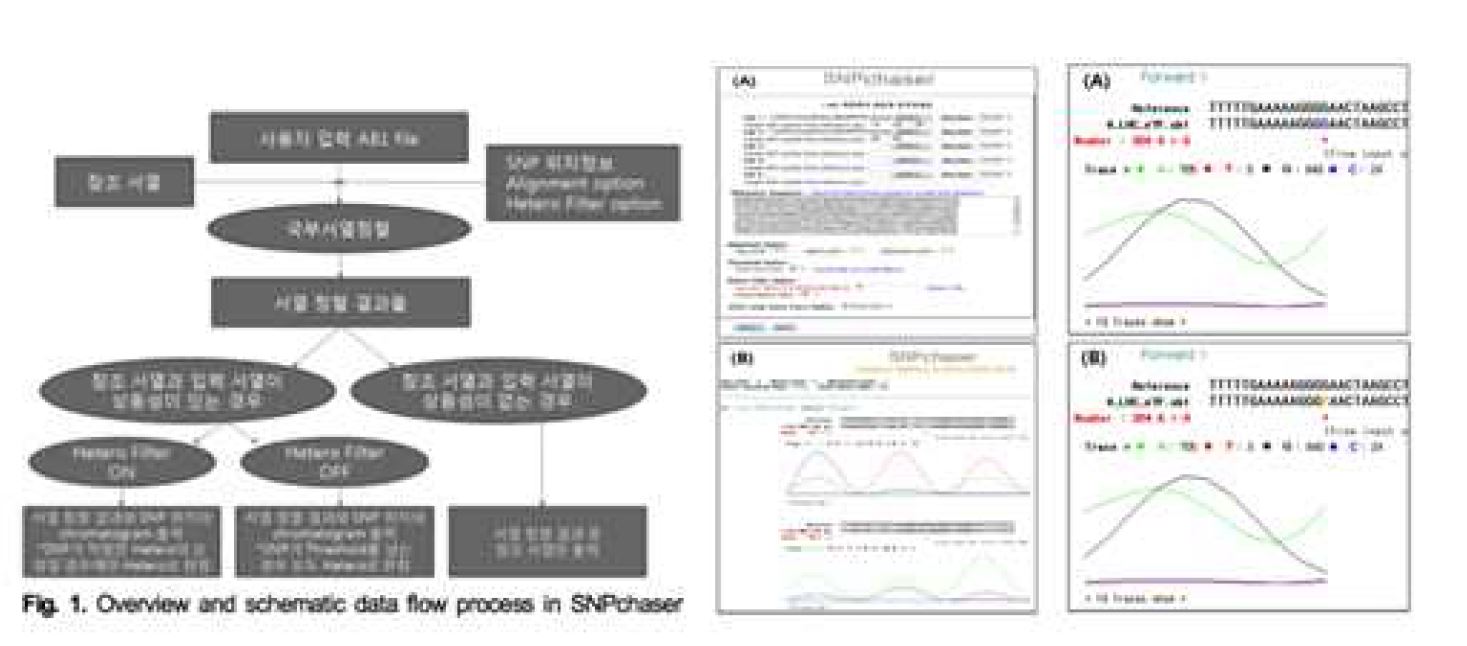 그림 20. SNPs 서열 분석 엔진의 데이터 흐름 및 프로세스와 시각화 참조 모델
