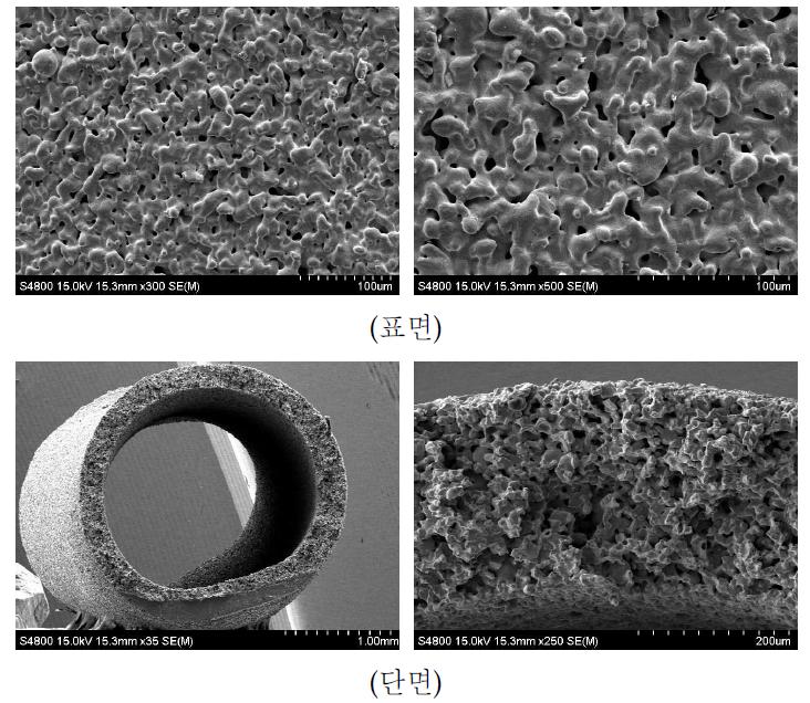 입자크기 30 ㎛의 SUS 316L 금속중공사막의 SEM 사진