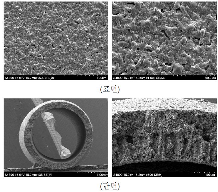 TiO2가 첨가된 SUS 316L 금속중공사막의 SEM 사진