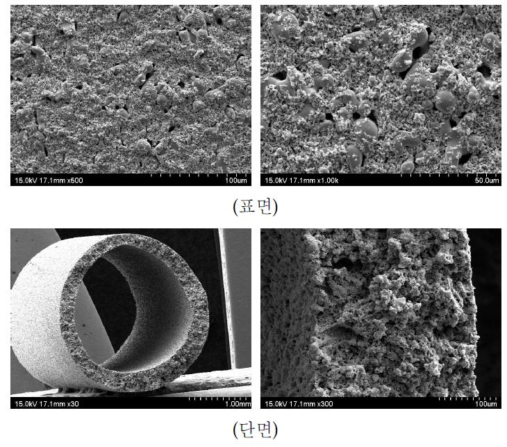 알루미나 10 wt%가 첨가된 SUS 316L 금속중공사막 SEM 사진