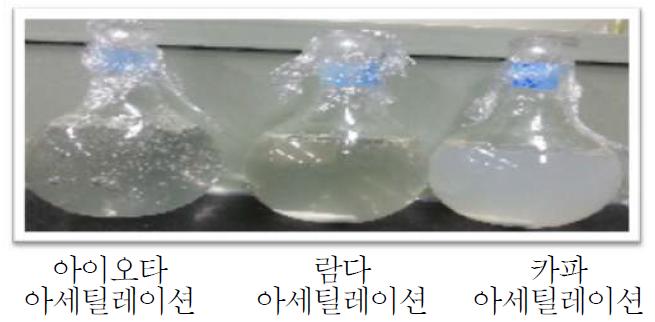 아세틸레이션 합성 후 24시간이 경과한 카라기난의 형태