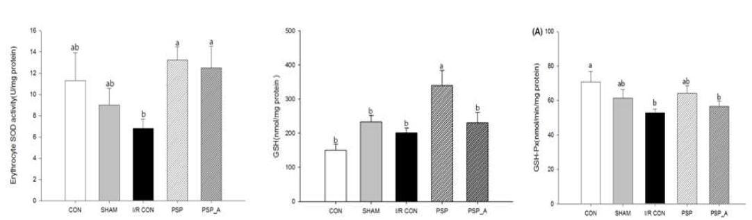 Effects of purple sweet potato extract on (A ) erythrocyte SOD, hepatic (B) GSH-Px and (C) GSH-Px in hepatic I/R rats