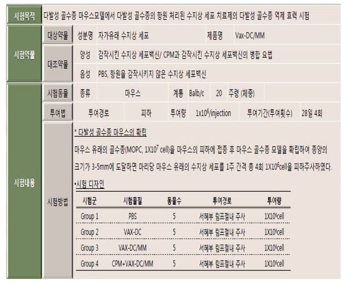 다발성골수종 마우스 모델을 이용한 Vax-DC의 항암효과