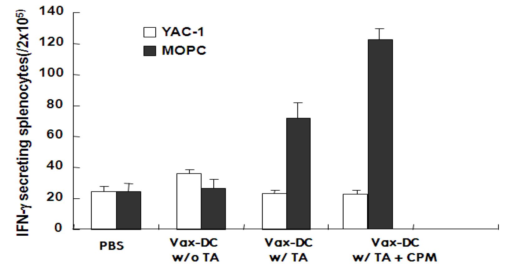 Vax-DC 치료 종료 후 마우스의 비장에서 분리한 T 세포에 의한 항암 면역반응
