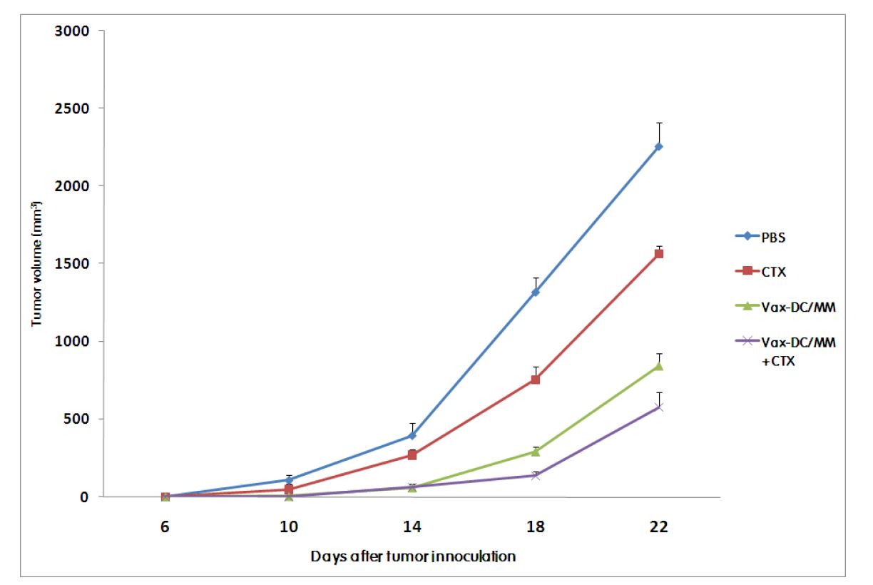 실제 임상시험에 사용되는 모델인 Vax-DC/MM과 CTX의 병합치료군에서의 항암효과비교.