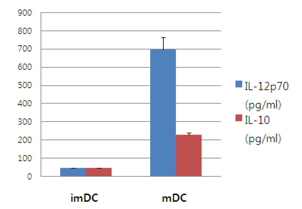 Vax-DC에 의한 싸이토카인 생산능력