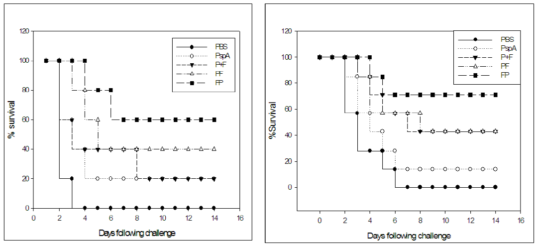 PspA-FlaB 또는 FlaB-PspA 신단백질로 면역후 고용량의 야생형 S. pneumoniae challenge 후 생존 곡선.