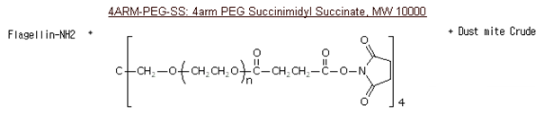Molecular structure of 4 arm PEG-Succinimidyl Succinate