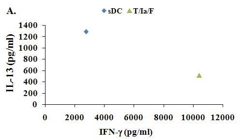 TNF-alpha/IFN-alpha/flagellin에 의해 제조된 수지상세포의 IL-13 및 IFN-gamma 분비.