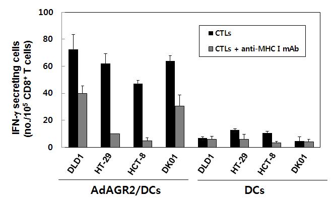 AGR2 유전자를 발현하는 재조합 adenovirus를 제조하여 수지상세포에 종양항원으로 부가하여 세포독성 T 림프구를 제조하였을 때 다양한 대장암 세포주에 대하여 강력한 세포독성 효과를 보였음.