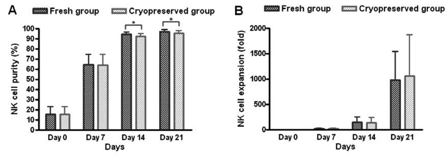fresh한 K562-mb15-41BB feeder cell과 cryopreserved K562-mb15-41BB feeder cell과 co-culture한 ex-vivo expanded NK cell의 purity와 fold expansion을 비교하였을 때 , 두 그룹간에 차이를 보이지 않았음.