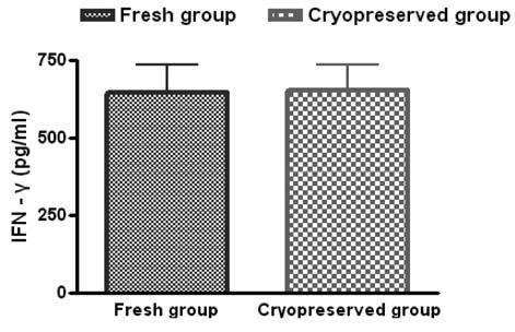 fresh한 K562-mb15-41BB feeder cell과 cryopreserved K562-mb15-41BB feeder cell과 co-culture한 ex-vivo expanded NK cell가 K562 타깃세포에 반응하여 분비한 IFN-gamma의 분비량을 비교하였을 때, 차이를 보이지 않았음.