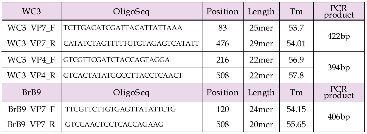 VP7 및 VP4 cDNAs 분리시 사용한 oligo