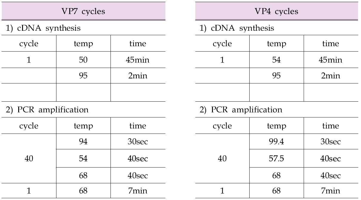 VP7 or VP4 검출을 위한 RT-PCR temperature profiles.