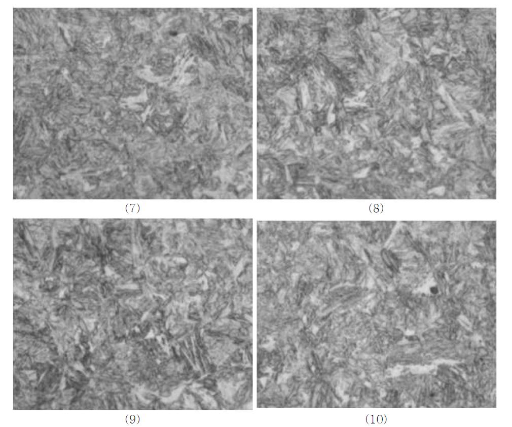 The Microstructures at Fig 5-1 on 500X