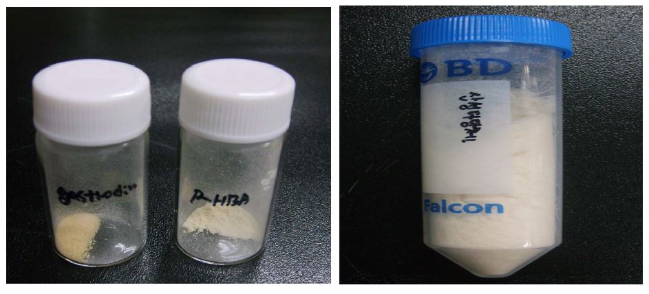 Fig. 29. Purified gastrodin, p-hydroxybenzyl alcohol and acidic polysaccharide from Gastrodia elata