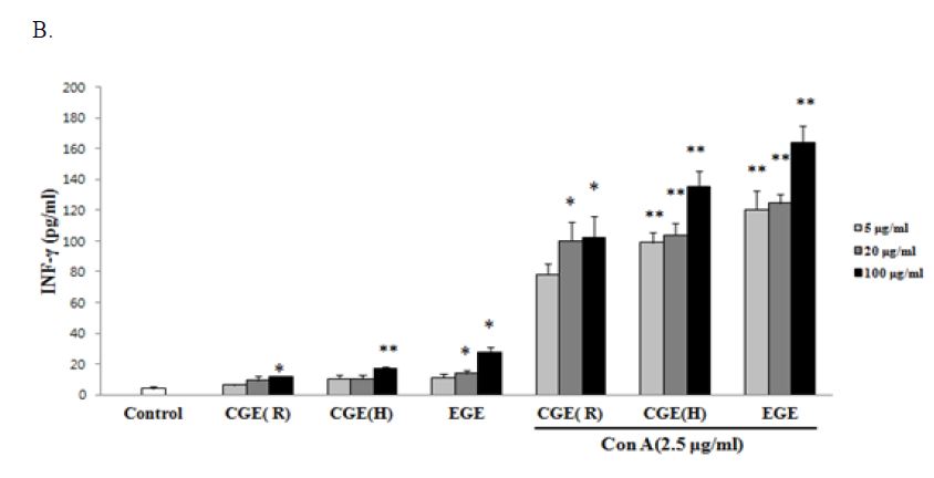 Fig. 35. The effects of Ges on IL-2 (A) and IFN-γ(B) secrestions by splenocytescultured in medium with or without ConA (2.5 μg/ml) for 48 hrs.Values are means mean±SEM, n = 3.IFN, interferon; IL-2, interleukin-2. Values with thesymbol * are significantly different from the control
