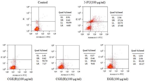 Fig. 36. GEs-induced apoptosis in FACS flow cytometry. Annexin-V-FITC/PI flowcytometry analysis was done using HT29 cells following treatment with high concentration(100μg/ml) of GEs for 24h . The numbers in the lower right quadrant of each plot indicate thepercentage of annexin-positive (apoptotic) cells only. 5-Fluorouracil as a comparison wastreated with the same way