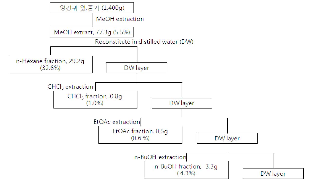 그림 9. 엉겅퀴 잎, 줄기와 뿌리의 메탄올 추출 및 용매 분획 흐름도.