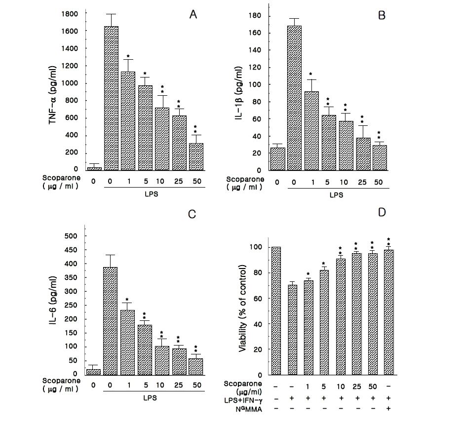 그림 34. LPS와 IFN-γ로 활성화된 RAW 264.7에서 세포생존율 및 전 염증성 사이토카인 생성에 미치는 scoparone의 억제효과
