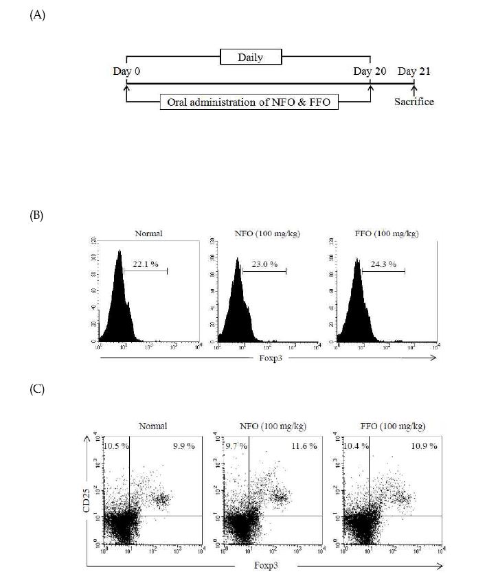 Figure 19. FFO administration promotes the differentiation of CD4+CD25+Foxp3+Treg