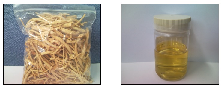 Fig 2) Ginseng root