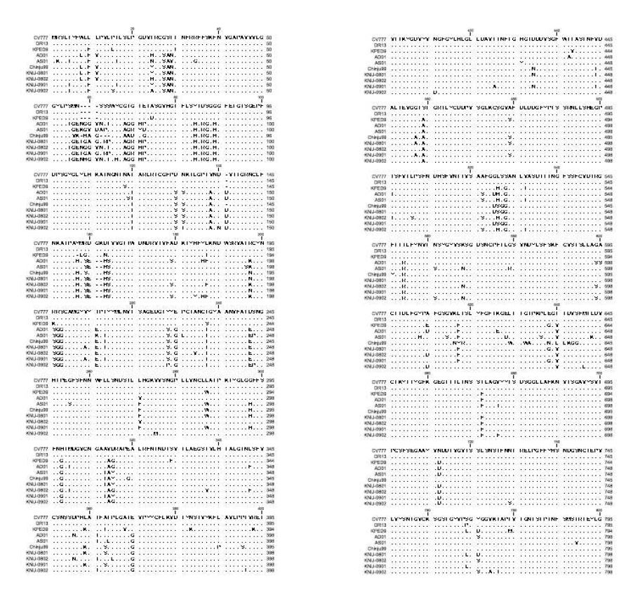 그림 2. 각 strain 별 spike protein의 amino acid sequence 비교