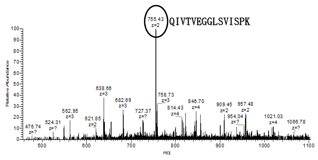 MS chromatogram of 50SFMKUF5 (RT: 18.58).