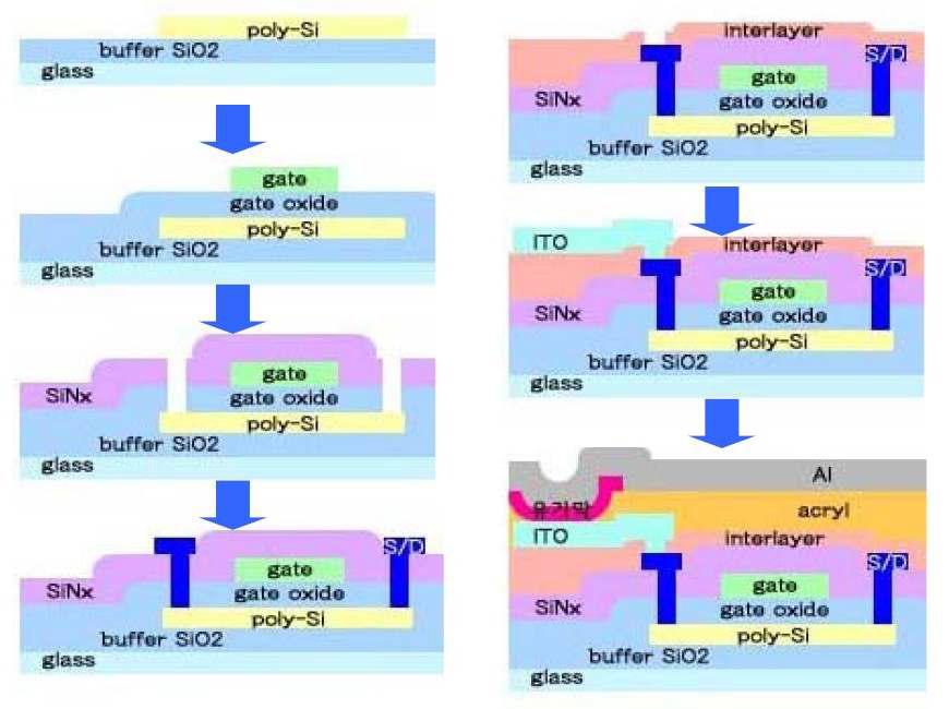 Poly-Si TFT AMOLED 공정 과정