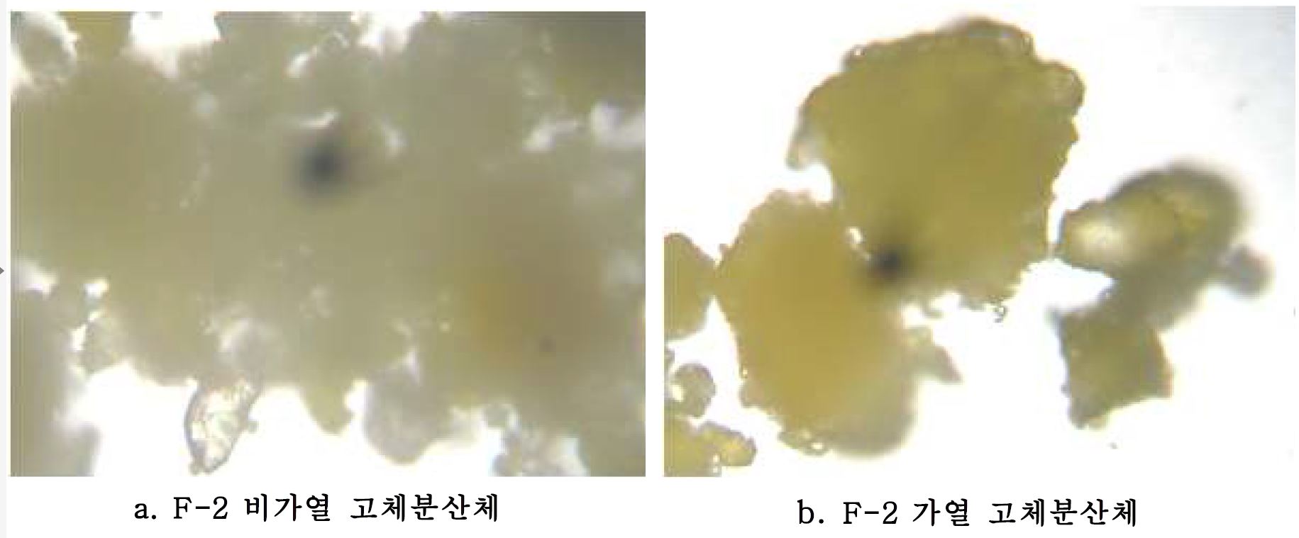 그림 11. F-3 고체분산체