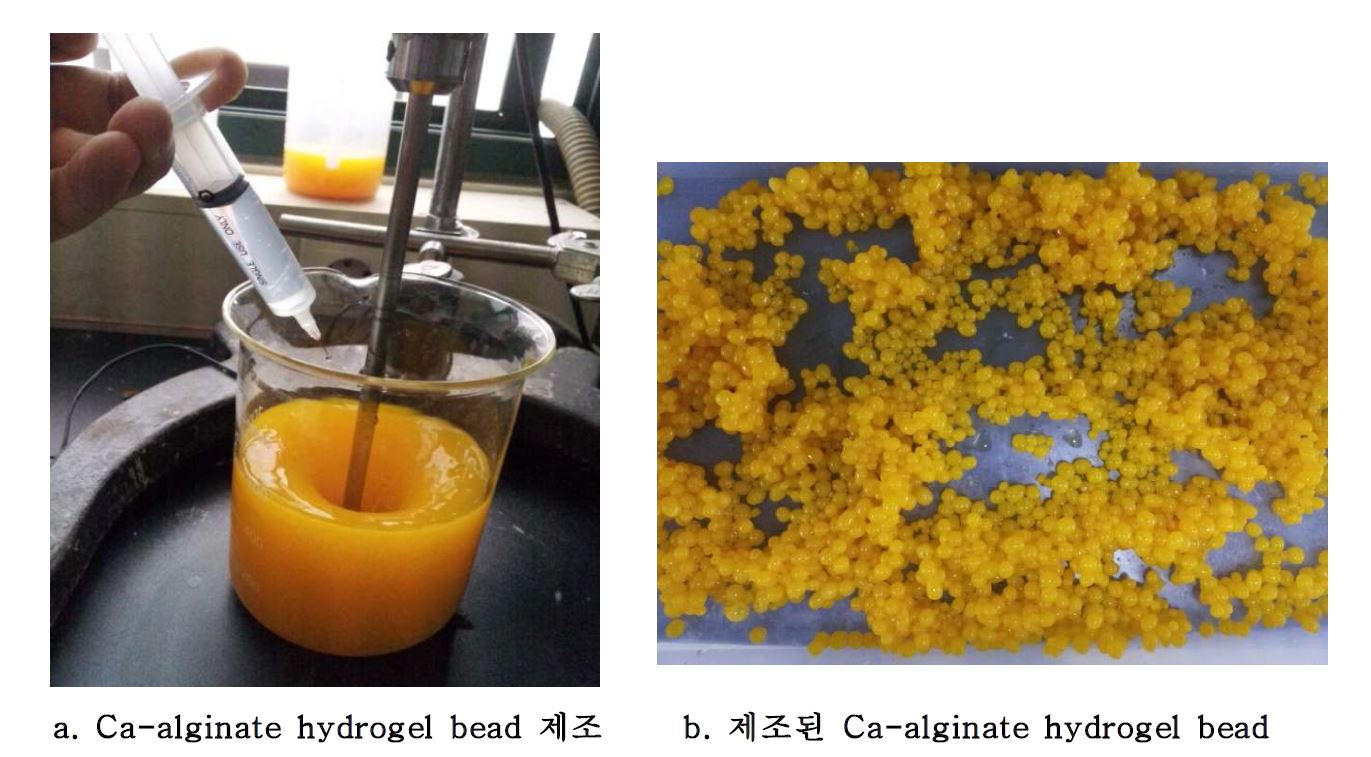 그림 29. Ca-alginate hydrogel bead 제조