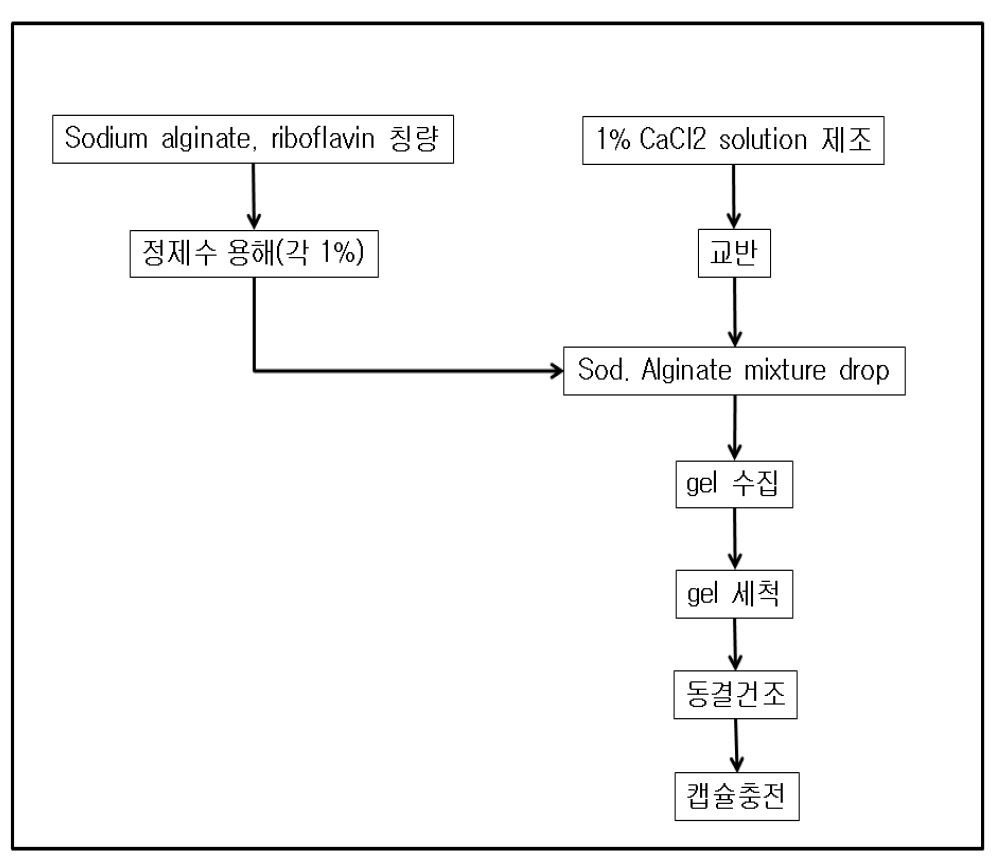 그림 30. Ca-alginate hydrogel bead 제작 과정 모식도