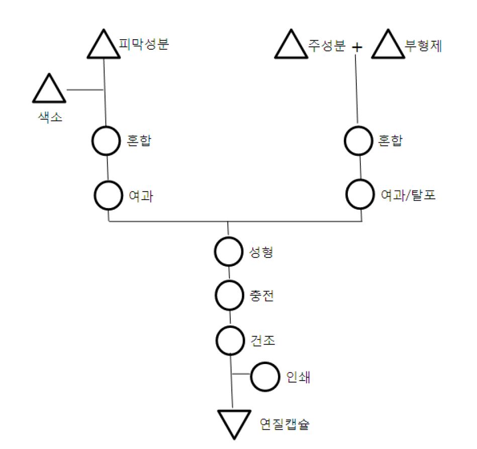 그림 41. 연질캡슐 제조 공정도