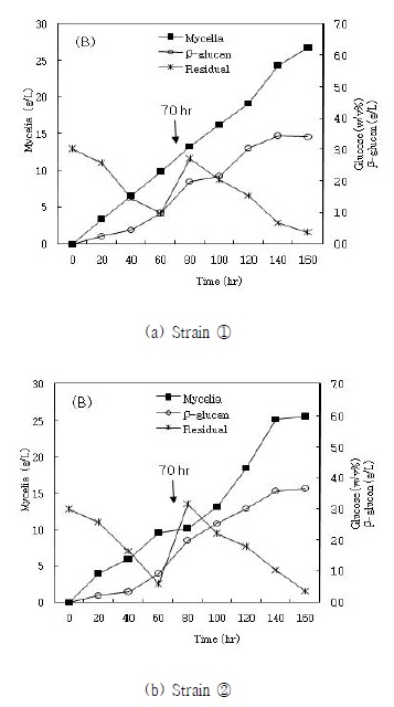 Figure 2. Time course of the mycelial growth, polymer production and glucose consumption by the cultivation of Strain ① & ②, with feeding at the point of 70 hours