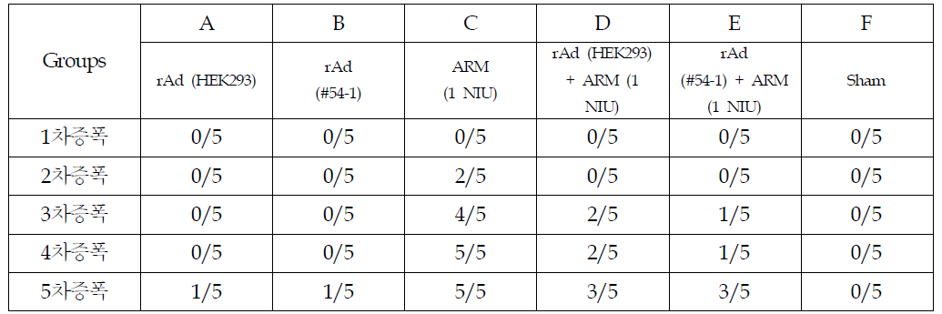 RCA 분석 결과 : A549 기반 생산세포주 #54-1 과 기존 생산세포주 HEK293과 비교 결과
