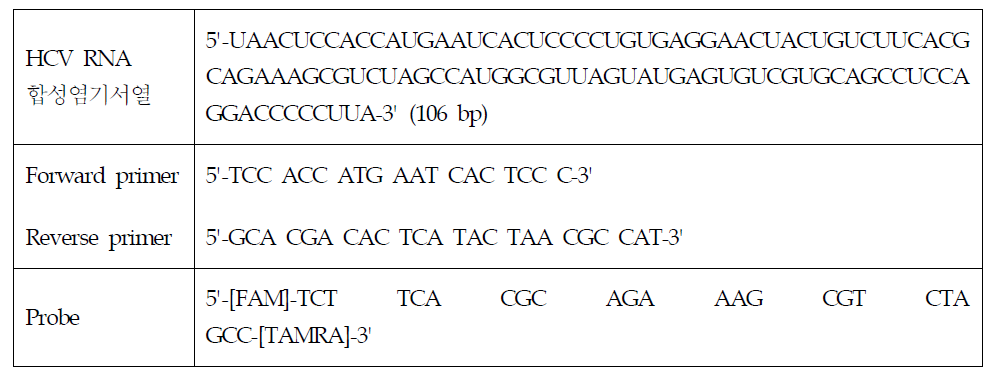 HCV 특이부위 RNA 합성 및 실험법에 사용된 primer, probe 염기서열 정보