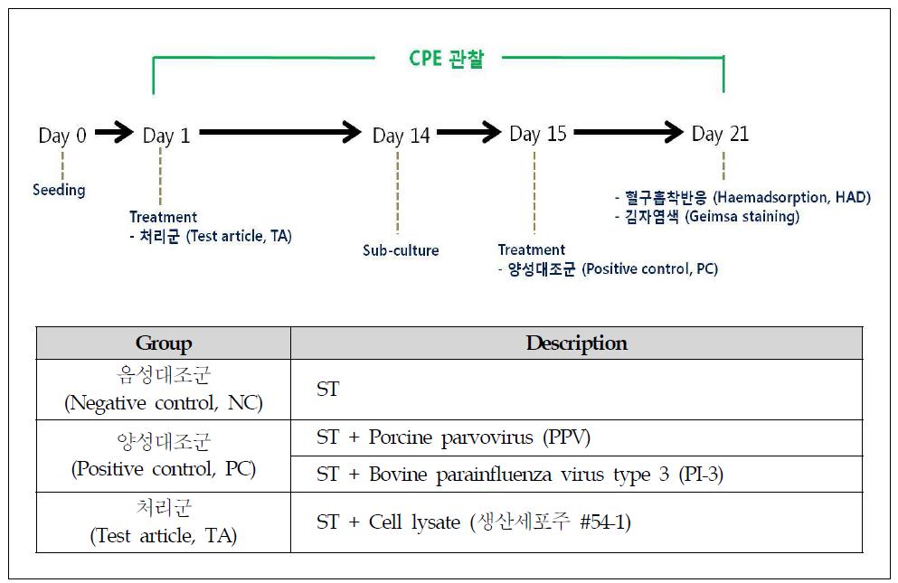 Porcine virus 검출 실험 design