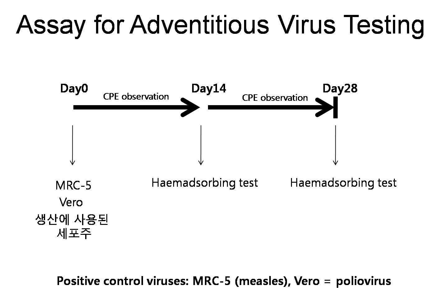 외래성바이러스 검사계획