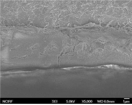 SEM 사진: 산화막에 형성된 반경방향 crack실험조건: 500 ℃, P(H2)/P(H2O)=103